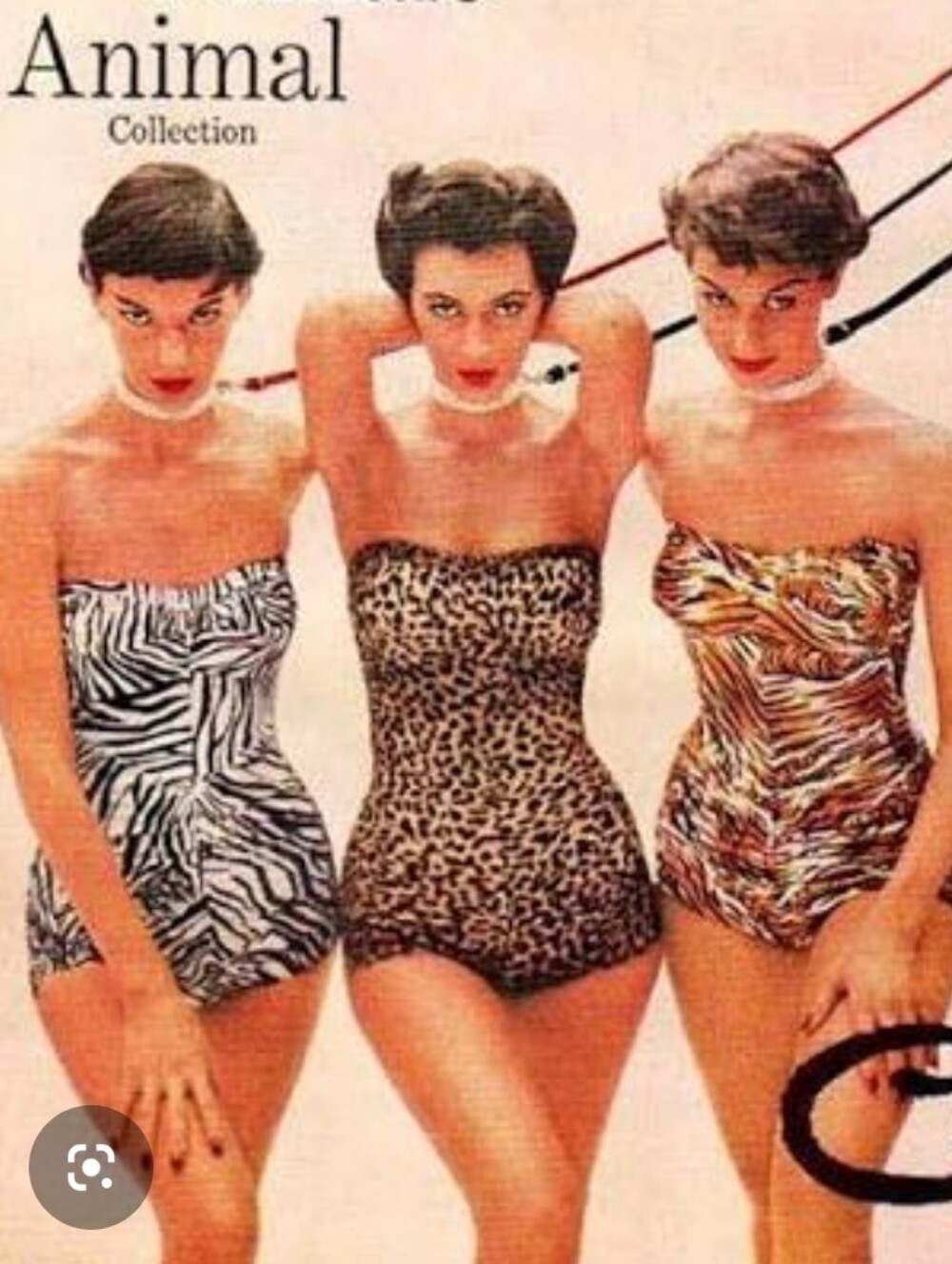 Unleash Your Wild Side!!! Live Show!!!